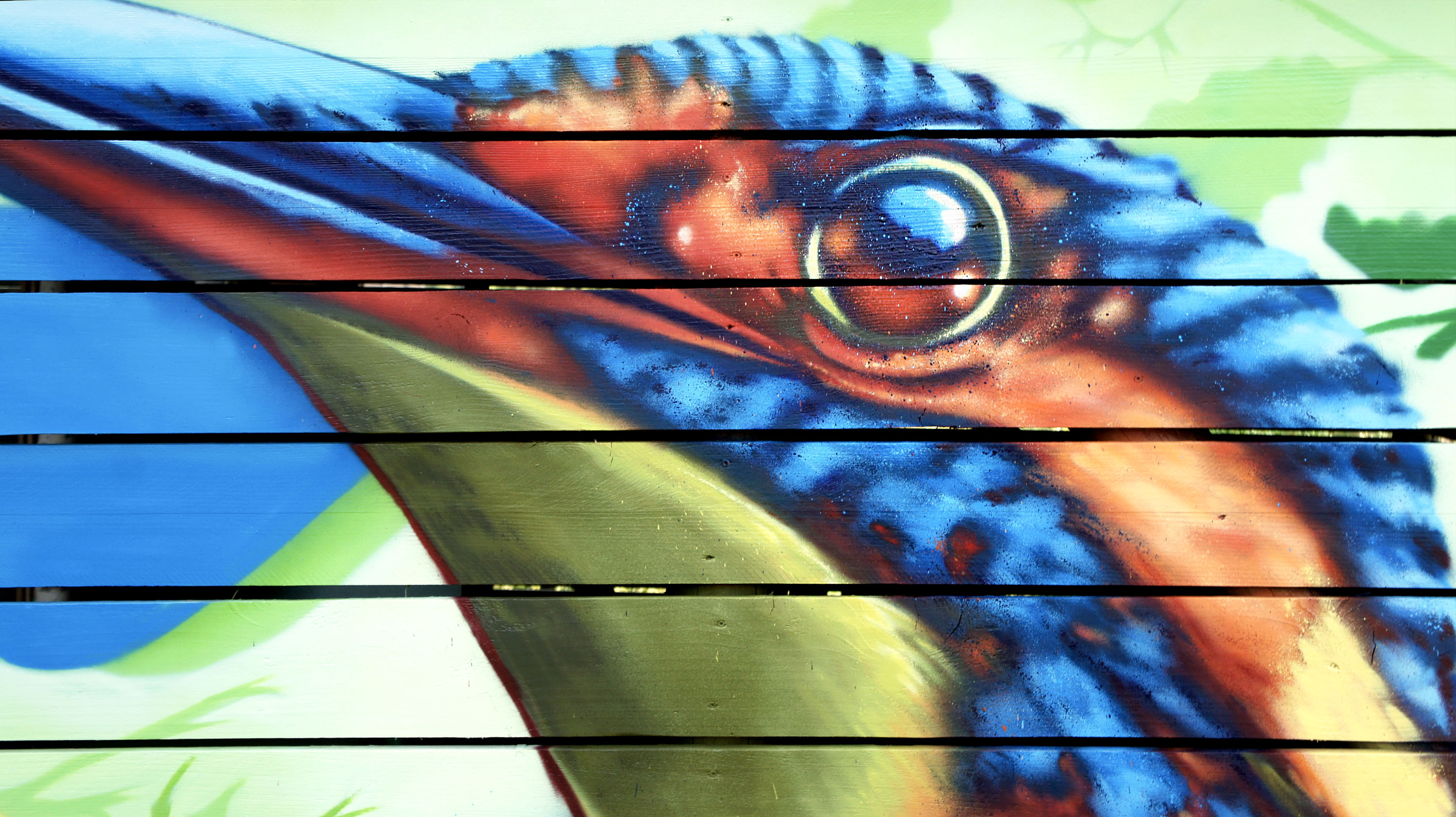 detail-street-art-oiseau