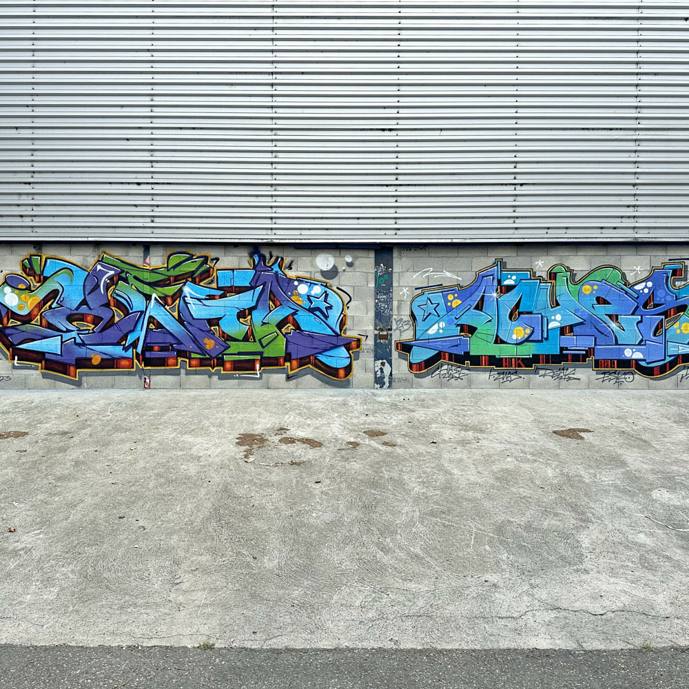 Heta-Ashes-fresque-graffiti-Lyon